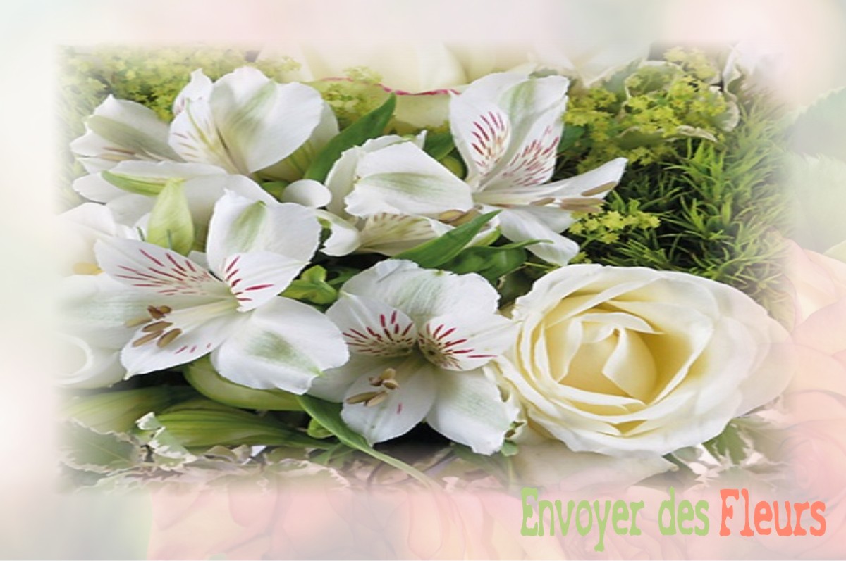 envoyer des fleurs à à SAINT-JEAN-SUR-ERVE